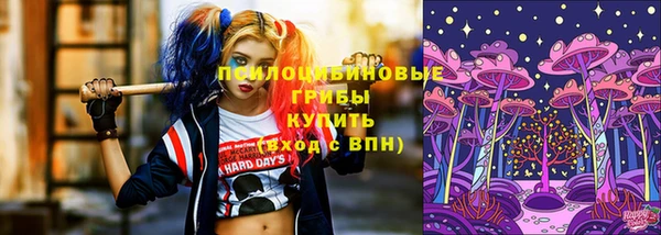 гашик Алзамай