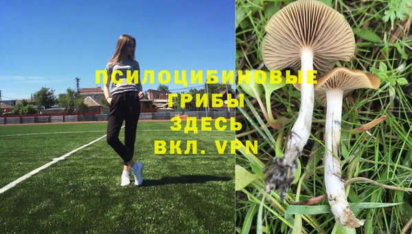 mdpv Алексеевка