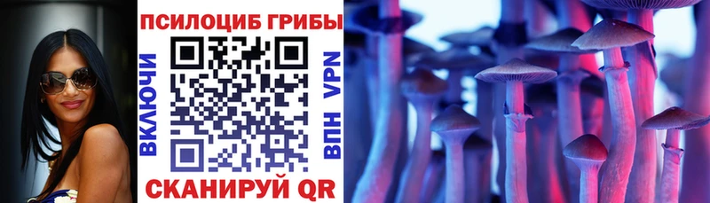 купить наркотики цена  darknet состав  Псилоцибиновые грибы Psilocybe  Болхов 